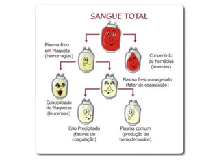 Sistema circulatório