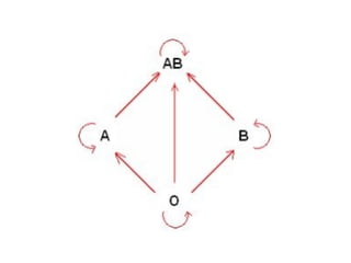 Sistema circulatório