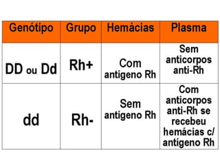 Sistema circulatório