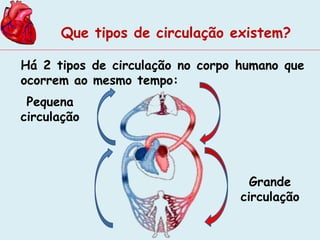 Que tipos de circulação existem? 
Há 2 tipos de circulação no corpo humano que 
ocorrem ao mesmo tempo: 
Pequena 
circulação 
Grande 
circulação 
 