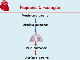 Pequena Circulação 
Ventrículo direito 
Artéria pulmonar 
Veia pulmonar 
Aurícula direita 
 