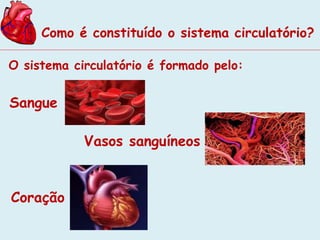 Como é constituído o sistema circulatório? 
O sistema circulatório é formado pelo: 
Sangue 
Vasos sanguíneos 
Coração 
 