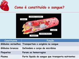 Como é constituído o sangue? 
Constituinte Função 
Glóbulos vermelhos Transportam o oxigénio no sangue 
Glóbulos brancos Defendem o corpo de micróbios 
Plaquetas Param as hemorragias 
Plasma Parte líquida do sangue que transporta nutrientes 
 