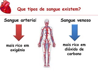 Que tipos de sangue existem? 
Sangue arterial Sangue venoso 
mais rico em 
oxigénio 
mais rico em 
dióxido de 
carbono 
 