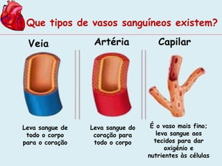 Que tipos de vasos sanguíneos existem? 
Veia Artéria Capilar 
Leva sangue de 
todo o corpo 
para o coração 
Leva sangue do 
coração para 
todo o corpo 
É o vaso mais fino; 
leva sangue aos 
tecidos para dar 
oxigénio e 
nutrientes às células 
 