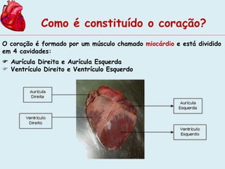 Como é constituído o coração? 
O coração é formado por um músculo chamado miocárdio e está dividido 
em 4 cavidades: 
 Aurícula Direita e Aurícula Esquerda 
 Ventrículo Direito e Ventrículo Esquerdo 
 