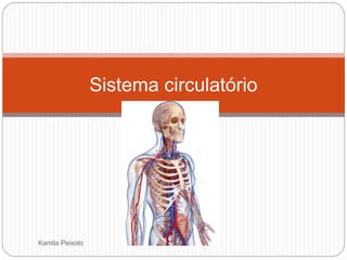 Kamila Peixoto
Sistema circulatório
 