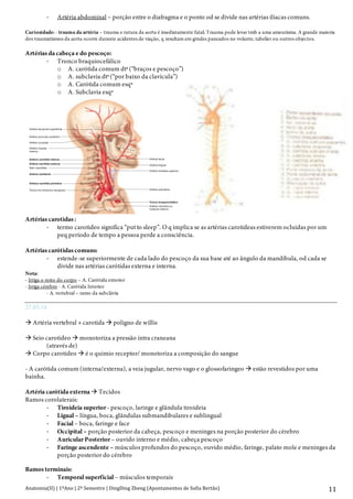 Anatomia(II)+|+1ºAno+|+2º+Semestre+|+DingDing+Zheng+(Apontamentos+de+Sofia+Bertão)+ 11+
D Artéria abdominal – porção entre o diafragma e o ponto od se divide nas artérias ilíacas comuns.
Curiosidade: - trauma da artéria – trauma e rutura da aorta é imediatamente fatal; Trauma pode levar tmb a uma ameurisma. A grande maioria
dos traumatismos da aorta ocorre durante acidentes de viação, q resultam em grndes paneados no volante, tabelier ou outros objectos.
Artérias da cabeça e do pescoço:
D Tronco braquiocefálico
o A. carótida comum dtª (“braços e pescoço”)
o A. subclavia dtª (“por baixo da clavícula”)
o A. Carótida comum esqª
o A. Subclavia esqª
Artérias carotidas :
D termo carotideo significa “put to sleep”. O q implica se as artérias carotideas estiverem ocluidas por um
peq período de tempo a pessoa perde a consciência.
Artérias carótidas comuns:
D estende-se superiormente de cada lado do pescoço da sua base até ao ângulo da mandíbula, od cada se
divide nas artérias carótidas externa e interna.
Nota:
- Irriga o resto do corpo – A. Carótida exterior
- Irriga cérebro - A. Carótida Interior
- A. vertebral – ramo da subclávia
27.03.14
! Artéria vertebral + carotida ! poligno de willis
! Seio carotideo ! monotoriza a pressão intra craneana
(através de)
! Corpo carotideo ! é o quimio receptor/ monotoriza a composição do sangue
- A carótida comum (interna/externa), a veia jugular, nervo vago e o glossofaringeo ! estão revestidos por uma
bainha.
Artéria carótida externa ! Tecidos
Ramos corolaterais:
D Tiroideia superior- pescoço, laringe e glândula tiroideia
D Ligual – língua, boca, glândulas submandibulares e sublingual
D Facial – boca, faringe e face
D Occipital – porção posterior da cabeça, pescoço e meninges na porção posterior do cérebro
D Auricular Posterior – ouvido interno e médio, cabeça pescoço
D Faringe ascendente – músculos profundos do pescoço, ouvido médio, faringe, palato mole e meninges da
porção posterior do cérebro
Ramos terminais:
D Temporal superficial – músculos temporais
Capítulo 21 Aparelho Circulatório: Circulação e Regulação Periférica 731
Artérias da Cabeça e Pescoço
O primeiro vaso a ter origem na crossa da aorta é o tronco arte-
rial braquiocefálico (vaso para o membro superior e cabeça)
(figura 21.7). É um tronco arterial muito curto, que se ramifica
ao nível da clavícula para formar a artéria carótida primitiva
direita, que transporta sangue para o lado direito da cabeça e do
pescoço, e a artéria subclávia direita, que irriga o membro su-
perior direito (figura 21.6, 21.7, 21.9, 21.10 e 21.11).
O segundo e terceiro ramos da crossa da aorta são a artéria
carótida primitiva esquerda que transporta o sangue para o lado
esquerdo da cabeça e pescoço, e a artéria subclávia esquerda que
transporta o sangue para o membro superior esquerdo.
As artérias carótidas primitivas dirigem-se para cima, sem
se ramificarem, de cada lado do pescoço, desde a sua base até ao
ângulo inferior da mandíbula, onde se ramificam em artéria
carótida externa e interna (ver figuras 21.7 e 21.9). No ponto
de bifurcação, em cada lado do pescoço, a artéria carótida pri-
mitiva e a base da carótida interna dilatam ligeiramente para for-
mar o seio carotídeo, que é importante na monitorização da
pressão arterial (reflexo barorreceptor). As artérias carótidas ex-
ternas possuem vários ramos que irrigam as estruturas do pes-
coço e face (quadro 21.1; ver figuras 21.7 e 21.9). As artérias
carótidas internas,conjuntamente com as artérias vertebrais,que
Artéria facial
Artéria lingual
Seio carotídeo
Artéria maxilar
interna
Tronco tiro-bicérvico-escapular
Artéria occipital
Artéria auricular posterior
Artéria temporal superficial
Artéria carótida interna
Artéria carótida externa
Artéria vertebral
Artéria carótida primitiva
Artéria tiroideia superior
Artéria subclávia
Tronco braquiocefálico
Artéria mamária ou
torácica interna
Figura 21.7 Artérias da Cabeça e Pescoço
Tronco arterial braquiocefálico, carótida primitiva direita, subclávia direita e seus ramos. As principais artérias da cabeça são a carótida primitiva e a vertebral.
são ramos da subclávia, irrigam o cérebro (ver quadro 21.1; e
figuras 21.7, 21.8 e 21.9).
E X E R C Í C I O
O termo carótida significa adormecer, dando a entender que, se as
artérias carótidas estivessem ocluídas, mesmo por um curto
tempo, o doente perderia a consciência (adormeceria). A irrigação
cerebral é extremamente importante para o seu funcionamento. A
eliminação desta irrigação durante um tempo relativamente curto
pode originar lesões permanentes no cérebro, uma vez que este é
dependente do metabolismo oxidativo e desenvolve rapidamente
deficiências funcionais por falta de oxigénio. Qual é o significado
fisiológico da arteriosclerose, ao reduzir lentamente o fluxo
sanguíneo nas artérias carótidas?
As artérias vertebrais direita e esquerda, ramos das ar-
térias subclávias,entram na cavidade craniana através do foramen
magnum,ramificam-se para formar artérias que se dirigem para
o cerebelo e depois reúnem-se na linha média para formar o
tronco basilar (ver figuras 21.8 e 21.9; ver quadro 21.1). De-
pois de originar ramos para a protuberância e para o cerebelo,
o tronco basilar bifurca-se formando as artérias cerebrais
posteriores, que irrigam a parte posterior do cérebro (figura
21.8).
 