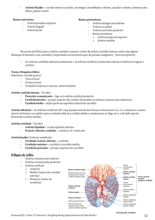 Anatomia(II)+|+1ºAno+|+2º+Semestre+|+DingDing+Zheng+(Apontamentos+de+Sofia+Bertão)+ 12+
D Artéria Maxilar – ouvido interno e médio, meninges, mandibular e dentes, maxilar e dentes, estrutura dos
olhos, palato e nariz.
No ponto da bifurcação a artéria carótida comum e a base da artéria carótida interna existe uma ligeira
dilatação formando o seu carotideo (importante na monitorização da pressão sanguínea – barroreceptores)
D As artérias carótidas internas juntamente c as artérias vértebras (ramos das artérias vertebrais) irrigam o
cérebro.
Tronco Braquiocefálico
Subclavio: (ramificações):
D Tirocervical
D Costocervical
D Vertebral (interna e externa ; artéria basilar)
Artéria carótida interna - Tecidos
D Posterior comunicante – liga-se à artéria cerebral posterior
D Cerebral anterior– porção anterior do cérebro formando as artérias comunicante anteriores
D Cerebral média – maior parte da superfície lateral do encéfalo
Artéria subclavia – As artérias vertebrais dtª e esqª passam através dos buracos transversos C6 e C1 e entram no craneo
através do buraco occipital, após a entrada inflecte p a linha média e anastomosa-se (liga-se) c a do lado oposto
formando a artéria basilar.
Artéria vertebral – Tecidos
D Artéria Espinhal – corda espinhal anterior
D Postero-inferior cerebelar – cérebro e 4º ventrículo
Artéria basilar (Artérias vertebrais)
D Cerebelar Antero-inferior – cerebelo
D Cerebelar anterior– cerebelo e encéfalo médio
D Cerebelar posterior– porção superior do encéfalo
Poligno de willis:
D Artéria comunicante anterior
D Artéria comunicante posterior
D Artéria cerebral:
o Anterior
o Médio (ramos da carótida
interna)
o Posterior (ramo da
vertebral)
Ramos anteriores:
D Artéria tiroideia superior
D Artéria lingual
D Artéria facial
+
Ramos posteriores:
D Artéria faríngea ascendente
D Artéria occipital
D Artéria auricular posterior
D Ramos terminais
o Artéria temporal superior
o Artéria maxilar
+
Artérias do cérebro
Parte 4 Regula732
Artérias da Cabeça e Pescoço (ver figuras 21.7, 21.8 e 21.9)Quadro 21.1
Artérias Tecidos Irrigados
Artérias Vertebrais
(ramos das artérias subclávias)
Espinhal anterior Medula espinhal anterior
Cerebelosa póstero-inferior Cerebelo e quarto ventrículo
Tronco Basilar
(formado pela junção de artérias vertebrais)
Cerebelosa antero-inferior Cerebelo
Cerebelosa superior Cerebelo e mesencéfalo
Cerebral posterior Porções posteriores do cérebro
Artérias Carótidas Primitivas
Carótida Externa
Tiroideia superior
Lingual
Facial
Occipital
Auricular posterior
Faríngea ascendente
Temporal superficial
Maxilar interna
Carótida Interna
Comunicante posterior
Cerebral anterior
Cerebral média
Cabeça e pescoço pelos ramos enunciados abaixo
Pescoço, laringe e glândula tiroideia
Língua, boca, glândulas sublinguais e submandibulares
Boca, faringe e face
Parte posterior da cabeça e pescoço, meninges que revestem a parte posterior do cére
Ouvido médio e interno, cabeça e pescoço
Músculos profundos do pescoço, ouvido médio, faringe, palato mole e meninges que r
posterior do cérebro
Região temporal, face e ouvido externo
Ouvido médio e interno, meninges, maxilar e dentes inferiores, maxilar e dentes super
temporal, estruturas oculares externas, face, palato e nariz
Junta-se com a artéria cerebral posterior
Porções anteriores do cérebro e forma as artérias comunicantes anteriores
A maioria da face externa do cérebro
Artéria cerebral média
Removida parte do lobo
temporal para mostrar
a artéria cerebral média Artéria carótida
interna
Artéria cerebral
posterior
Artéria basilar
Artéria vertebral
Removida parte do
cerebelo para mostrar
a artéria cerebral posterior
Artéria espinal anterior
Artéria
comunicante
anterior
Artéria cerebral
anterior
Artéria
comunicante
posterior
Artéria cerebral
posterior
Artéria cerebelosa
superior
Artéria cerebelosa
antero-inferior
Artéria cerebelosa
postero-inferior
Círculo arterial
cerebral
(polígono de Willis)
Figura 21.8 Artérias do Cérebro
Vista inferior do cérebro mostrando as artérias vertebral, basilar, carótida interna e seus ramos. (As cores indicam as regiões do cérebro irrigadas
artérias: amarela, cerebral anterior; rosa, cerebral média; cinzenta, cerebral posterior; azul, artérias cerebelares; branca, artérias do tronco cerebr
 