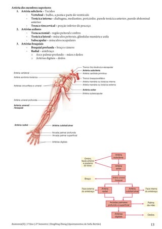 Anatomia(II)+|+1ºAno+|+2º+Semestre+|+DingDing+Zheng+(Apontamentos+de+Sofia+Bertão)+ 13+
Artéria dos membros superiores
1. Artéria subclavia – Tecidos
D Vertebral – bulbo, a ponta e parte do ventrículo
D Torácica interna – diafragma, mediastino, pericárdio, parede torácica anterior, parede abdominal
anterior
D Tronco tirocervical – porção inferior do pescoço
2. Artérias axilares
D Toracacromial – região peitoral e ombro
D Torácica lateral – músculos peitorais, glândulas mamária e axila
D Subscapular – músculos escapulares
3. Artérias braquiais
D Braquial profunda – braço e úmero
D Radial – antebraço
o Arco palmar profundo – mãos e dedos
o Artérias digitais – dedos1 Aparelho Circulatório: Circulação e Regulação Periférica 735
Tronco tiro-bicérvico-escapular
Artéria subclávia
Artéria carótida primitiva
Tronco braquiocefálico
Artéria mamária ou torácica interna
Artéria mamária ou torácica externa
Artéria axilar
Artéria subescapular
Artéria cubital/ulnar
Arcada palmar profunda
Arcada palmar superficial
Artérias digitais
Artéria radial
Artéria umeral/
/braquial
Artéria umeral profunda
Artérias circunflexa e umeral
Artéria acrómio-torácica
Artéria vertebral
21.10 Artérias do Membro Superior
rial braquiocefálico e artérias subclávia, axilar, umeral e seus ramos, no membro superior direito.
Artéria
subclávia
Artéria
axilar
Artéria umeral
/braquial
Arcadas palmares
profundo e superficial
Artérias
digitais
ior
r
Artéria
radial
na
ço
Artéria
cubital/ulnar
Face interna
do antebraço
Palma
da mão
Dedos
21.11 Principais Artérias do Ombro e do Membro
Capítulo 21 Aparelho Circulatório: Circulação e Regulação Periférica
Artéria cubit
Arcada palma
Arcada palma
Artérias digita
Artéria radial
Artéria umeral/
/braquial
Artéria umeral profunda
Artérias circunflexa e umeral
Artéria acrómio-torácica
Artéria vertebral
Figura 21.10 Artérias do Membro Superior
Tronco arterial braquiocefálico e artérias subclávia, axilar, umeral e seus ramos, no
Artéria
subclávia
Artéria
axilar
Artéria umeral
/braquial
Arcadas palmares
profundo e superficial
Artérias
digitais
Ombro,
faces anterior
e posterior
do tórax
Braço
Artéria
radial
Face externa
do antebraço
Artéria
cubital/ulnar
Face interna
do antebraço
Palma
da mão
Dedos
Figura 21.11 Principais Artérias do Ombro e do Membro
Superior
 