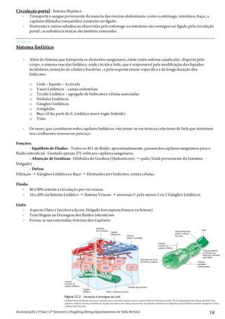 Anatomia(II)+|+1ºAno+|+2º+Semestre+|+DingDing+Zheng+(Apontamentos+de+Sofia+Bertão)+
+
18+
Circulação portal- Sistema Hepático
> Transporta o sangue proveniente da maioria das vísceras abdominais, como o estômago, intestinos, baço, a
capilares dilatados (sinusóides) existentes no fígado.
> Nutrientes e outras substâncias absorvidas pelo estômago ou intestinos são entregues ao fígado pela circulação
portal ; as substância tóxicas são também removidas
10.04.14
Sistema linfático
> Além do Sistema que transporta os elementos sanguíneos, existe outro sistema canalicular, disperso pelo
corpo, o sistema vascular linfático, onde circula a linfa, que é responsável pela modificação dos líquidos
tecidulares, remoção de células e bactérias , e pela resposta imune-específica e de longa duração dos
linfócitos.
o Linfa – liquido – ñ circula
o Vasos Linfáticos – canais endoteliais
o Tecido Linfático – agregado de linfócitos e células associadas
o Nódulos Linfáticos
o Gânglios Linfáticos
o Amigdalas
o Baço (ñ faz parte do S. Linfático mas é órgão linfoide)
o Timo
> Os vasos, que constituem redes capilares linfáticos, vão juntar-se em troncos colectores de linfa que terminam
nos confluentes venosos no pescoço
Funções:
- Equilíbrio de Fluídos - Todos os 30 L de fluído, aproximadamente, passam dos capilares sanguíneos para o
fluído intersticial. Contudo apenas 27L volta aos capilares sanguíneos.
- Absorção de Gorduras - Glóbulos de Gordura (Quilomicros) quilo (Linfa proveniente do Intestino
Delgado)
- Defesa
Filtração Gânglios Linfáticos e Baço Destruídos por linfócitos, outras células.
Fluído:
> 80 a 90% retorna à circulação por via venosa
> 10 a 20% via Sistema Linfático Sistema Venoso atravessa 1º pelo menos 1 ou 2 Gânglios Linfáticos
Linfa:
> Aspecto Claro e Incolor(a do int. Delgado tem aspecto branco ou leitoso)
> Tem Origem na Drenagem dos fluidos Intersticiais
> Forma-se nas extremidas Arteriais dos CapilaresCapítulo 22 Sistema Linfático e Imunidade 785
Os gânglios linfáticos são estruturas redondas, ovais ou em
forma de feijão que se distribuem ao longo dos diversos vasos lin-
veia linfática (não esquematizado na figura 22.3b), que desem-
boca numa veia torácica (ver figura 22.3b). Estes troncos dre-
Linfa
Direcção do fluxo
da linfa no capilar
Válvula fechada
(evita o refluxo
da linfa)
Arteríola
(do coração)
Capilar
sanguíneo
Líquido
a entrar no
capilar linfático
Capilar
linfático Para o sistema venoso
Células dos tecidos
Vénula
(para o coração)
Válvula aberta
(a linfa flui na
direcção indicada
pela seta)
Células
epiteliais
sobrepostas
Líquido
a entrar no
capilar linfático
Figura 22.2 Formação e Drenagem da Linfa
(a) Movimento de líquido dos vasos capilares para os tecidos e destes para os vasos linfáticos, formação da linfa. (b) A sobreposição das células epiteliais dos
capilares linfáticos facilita a entrada de líquido mas evita o seu retorno aos tecidos. As válvulas existentes ao longo dos vasos linfáticos também asseguram o fluxo
unidireccional da linfa.
 