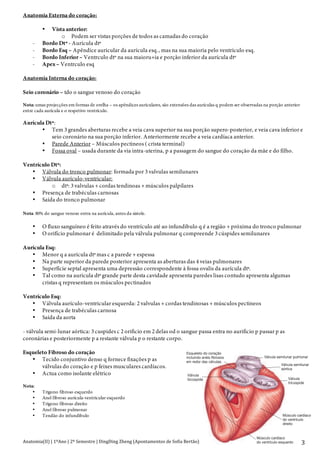 Anatomia(II)+|+1ºAno+|+2º+Semestre+|+DingDing+Zheng+(Apontamentos+de+Sofia+Bertão)+ 3+
Anatomia Externa do coração:
• Vista anterior:
o Podem ser vistas porções de todos as camadas do coração
- Bordo Dtº - Aurícula dtª
- Bordo Esq – Apêndice auricular da aurícula esq., mas na sua maioria pelo ventrículo esq.
- Bordo Inferior – Ventrculo dtº na sua maioru+ia e porção inferior da aurícula dtº
- Apex – Ventrculo esq
Anatomia Interna do coração:
Seio coronário – tdo o sangue venoso do coração
Nota: umas projecções em formas de orelha – os apêndices auriculares, são extensões das aurículas q podem ser observadas na porção anterior
entre cada aurícula e o respetivo ventrículo.
Aurícula Dtª:
• Tem 3 grandes aberturas recebe a veia cava superior na sua porção supero-posterior, e veia cava inferior e
seio coronário na sua porção inferior. Anteriormente recebe a veia cardíaca anterior.
• Parede Anterior – Músculos pectineos ( crista terminal)
• Fossa oval – usada durante da via intra-uterina, p a passagem do sangue do coração da mãe e do filho.
Ventrículo Dtº:
• Válvula do tronco pulmonar: formada por 3 valvulas semilunares
• Válvula aurículo-ventricular:
o dtª: 3 valvulas + cordas tendinoas + músculos palpilares
• Presença de trabéculas carnosas
• Saída do tronco pulmonar
Nota: 80% do sangue venoso entra na aurícula, antes da sistole.
• O fluxo sanguíneo é feito através do ventrículo até ao infundibulo q é a região + próxima do tronco pulmonar
• O orifício pulmonar é delimitado pela válvula pulmonar q compreende 3 cúspides semilunares
Aurícula Esq:
• Menor q a aurícula dtª mas c a parede + espessa
• Na parte superior da parede posterior apresenta as aberturas das 4 veias pulmonares
• Superfície septal apresenta uma depressão correspondente à fossa ovalis da aurícula dtª.
• Tal como na aurícula dtª grande parte desta cavidade apresenta paredes lisas contudo apresenta algumas
cristas q representam os músculos pectinados
Ventrículo Esq:
• Válvula aurículo-ventricular esquerda: 2 valvulas + cordas tendinosas + músculos pectineos
• Presença de trabéculas carnosa
• Saída da aorta
- válvula semi-lunar aórtica: 3 cuspides c 2 orificio em 2 delas od o sangue passa entra no aurificio p passar p as
coronárias e posteriormente p a restante válvula p o restante corpo.
Esqueleto Fibroso do coração
• Tecido conjuntivo denso q fornece fixações p as
válvulas do coração e p feixes musculares cardíacos.
• Actua como isolante elétrico
Nota:
• Trigono fibroso esquerdo
• Anel fibroso aurícula-ventricular esquerdo
• Trigono fibroso direito
• Anel fibroso pulmonar
• Tendão do infundibulo
Válvula semilunar pulmonar
Válvula semilunar
aórtica
Válvula
tricúspide
Músculo cardíaco
do ventrículo
direito
Músculo cardíaco
do ventrículo esquerdo
Válvula
bicúspide
Esqueleto do coração
incluindo anéis fibrosos
em redor das válvulas
 
