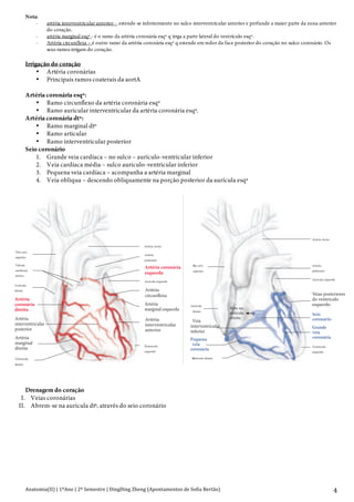 Anatomia(II)+|+1ºAno+|+2º+Semestre+|+DingDing+Zheng+(Apontamentos+de+Sofia+Bertão)+ 4+
Nota:
- artéria interventricular anterior - estende-se inferiormente no sulco interventricular anterior e perfunde a maior parte da zona anterior
do coração.
- artéria marginal esqª - é o ramo da artéria coronária esqª q irrga a parte lateral do ventrículo esqº.
- Artéria circunflexa – é outro ramo da artéria coronária esqª q estende em redor da face posterior do coração no sulco coronário. Os
seus ramos irrigam do coração.
Irrigação do coração
• Artéria coronárias
• Principais ramos coaterais da aortA
Artéria coronária esqª:
• Ramo circunflexo da artéria coronária esqª
• Ramo auricular interventricular da artéria coronária esqª.
Artéria coronária dtª:
• Ramo marginal dtº
• Ramo articular
• Ramo interventricular posterior
Seio coronário
1. Grande veia cardíaca – no sulco – aurículo-ventricular inferior
2. Veia cardíaca média – sulco aurículo-ventricular inferior
3. Pequena veia cardíaca – acompanha a artéria marginal
4. Veia obliqua – descendo obliquamente na porção posterior da aurícula esqª
Drenagem do coração
I. Veias coronárias
II. Abrem-se na aurícula dtª, através do seio coronário
Aurícula esquerda
Artéria coronária
esquerda
Artéria
pulmonar
Artéria Aorta
Ventrículo
esquerdo
Artéria Aorta
Ventrículo
esquerdo
Grande
veia
coronária
Seio
coronário
Veias posteriores
do ventrículo
esquerdo
Aurícula esquerda
Artéria
pulmonar
Veia cava
superior
Aurícula
direita
Ventrículo direito
Pequena
veia
coronária
Veia
interventricular
inferior
Veia cava
superior
Válvula
semilunar
aórtica
Aurícula
direita
Artéria
coronária
direita
Artéria
interventricular
posterior
Artéria
marginal
direita
Ventrículo
direito
Artéria
interventricular
anterior
Artéria
marginal esquerda
Artéria
circunflexa
Abre na
aurícula
direita
 