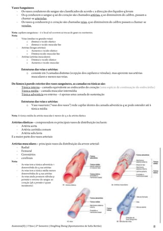 Anatomia(II)+|+1ºAno+|+2º+Semestre+|+DingDing+Zheng+(Apontamentos+de+Sofia+Bertão)+ 8+
Vasos Sanguíneos
- Os vasos condutores de sangue são classificados de acordo c a direcção dos líquidos q levam
- Os q conduzem o sangue q sai do coração são chamados artérias, q ao diminuírem de calibre, passam a
chamar-se arteriolas.
- Os vasos q conduzem p o coração são chamadas veias, q ao diminuírem de calibre passam a chamar-se
venulas.
Nota: capilares sanguíneas – é o local od ocorrem as trocas de gases ou nutrientes.
Nota:
- Veias (medias ou grandes veias):
o diminui o tecido elástico
o diminui o tecido muscular liso
- Artérias (longas artérias):
o Aumenta o tecido elástico
o Diminui tecido muscular liso
- Artérias (artérias musculares):
o Diminui o tecido elástico
o Aumenta o tecido muscular
Estruturas das veias e artérias:
o consiste em 3 camadas distintas (ecepção dos capilares e vénulas), mas aperente nas artérias
musculares e menos nas veias.
Do lúmen à parede exterior dos vasos sanguíneos, as camadas ou túnicas são:
- Túnica interna – camada equivalente ao endocardio do coração (uma espécie de continuação do endocárdio)
- Túnica média – camada muscular intermédia
- Túnica adventícia ou externa – é apenas uma camada de sustentação
Estruturas das veias e artérias:
o Vaso vasorum (“vaso dos vasos”) rede capilar dentro da camada adventícia q se pode estender até à
túnica média
Nota: A túnica média da artéria muscular é menor do q a da artéria elástica
Artérias elásticas – compreendem os principais vasos de distribuição incluem:
- Artéria aorta
- Artéria carótida comum
- Artéria subclavia
E a maior parte dos vasos arteriais
Artérias musculares – principais vasos da distribuição da arvore arterial:
- Radial
- Femural
- Coronários
- cerebrais
Nota:
- As veias tem a túnica adventícia +
desenvolvida do q nas artérias
- As veias tem a túnica média menos
desenvolvidas do q nas artérias
- As veias ainda possuem válvulas p
permitir o retorno do sangue ao
coração (pk a pressão é quase
inexistente)
 