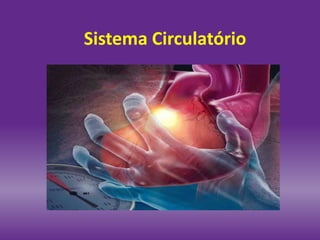 Sistema Circulatório
 