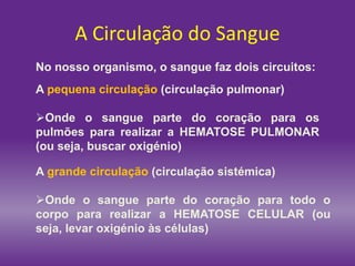 A Circulação do Sangue
No nosso organismo, o sangue faz dois circuitos:
A pequena circulação (circulação pulmonar)
Onde o sangue parte do coração para os
pulmões para realizar a HEMATOSE PULMONAR
(ou seja, buscar oxigénio)
A grande circulação (circulação sistémica)
Onde o sangue parte do coração para todo o
corpo para realizar a HEMATOSE CELULAR (ou
seja, levar oxigénio às células)
 