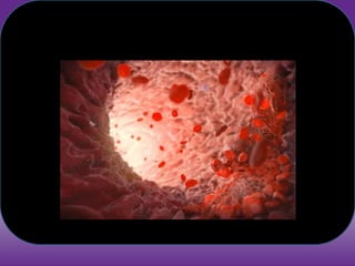 Para que serve?
• Todas as nossas células necessitam de oxigénio e
nutrientes para viver.
• Cabe ao Sistema circulatório fazer com que as células
sejam abastecidas de tudo o que precisam para cumprir
a sua missão.
• Para isso, o sistema circulatório faz circular no seu interior
o sangue, cujas funções já estudaste.
 