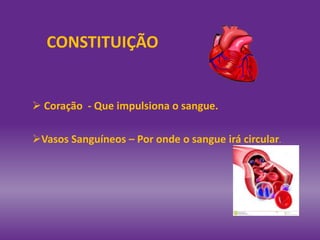 CONSTITUIÇÃO
 Coração - Que impulsiona o sangue.
Vasos Sanguíneos – Por onde o sangue irá circular.
 