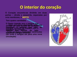 O interior do coração
O Coração encontra-se dividido em duas
partes – direita e esquerda, separadas por
uma membrana, o SEPTO
O Septo impede que o sangue que
circula do lado direito do coração
(sangue venoso) se misture com o
sangue que circula do lado
esquerdo (sangue arterial)
Tem quatro cavidades
– duas em cima, chamadas aurículas
(recebem o sangue que vem de
regresso ao coração.
- Duas em baixo chamadas ventrículos
(de onde o sangue sai para uma nova
circulação)
 