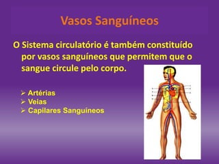O Sistema circulatório é também constituído
por vasos sanguíneos que permitem que o
sangue circule pelo corpo.
Vasos Sanguíneos
 Artérias
 Veias
 Capilares Sanguíneos
 