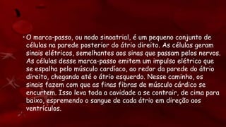 • O marca-passo, ou nodo sinoatrial, é um pequeno conjunto de
células na parede posterior do átrio direito. As células geram
sinais elétricos, semelhantes aos sinas que passam pelos nervos.
As células desse marca-passo emitem um impulso elétrico que
se espalha pelo músculo cardíaco, ao redor da parede do átrio
direito, chegando até o átrio esquerdo. Nesse caminho, os
sinais fazem com que as finas fibras de músculo cárdico se
encurtem. Isso leva toda a cavidade a se contrair, de cima para
baixo, espremendo o sangue de cada átrio em direção aos
ventrículos.
 