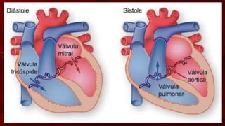 Como o coração funciona
• A pressão sanguínea muda sem cessar. Ela alcança o máximo
quando o ventrículo se contrai, para forçar a saída do sangue
do coração. Então, a pressão cai ligeiramente quando o
ventrículo relaxa e volta a se encher de sangue.
• Ela atinge o máximo no ventrículo esquerdo e na aorta. Ela
baixa, nos capilares, baixa ainda mais e quase não existe nas
grandes veias por onde o sangue retorna ao lado direito do
coração.
 