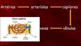 Artérias arteríolas capilares
vênulasveias
 