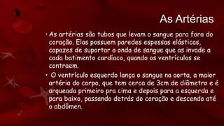 As Artérias
• As artérias são tubos que levam o sangue para fora do
coração. Elas possuem paredes espessas elásticas,
capazes de suportar a onda de sangue que as invade a
cada batimento cardíaco, quando os ventrículos se
contraem.
• O ventrículo esquerdo lança o sangue na aorta, a maior
artéria do corpo, que tem cerca de 3cm de diâmetro e é
arqueada primeiro pra cima e depois para a esquerda e
para baixo, passando detrás do coração e descendo até
o abdômen.
 
