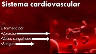 Sistema cardiovascular
É formado por:
•Coração
•Vasos sanguíneos
•Sangue
 