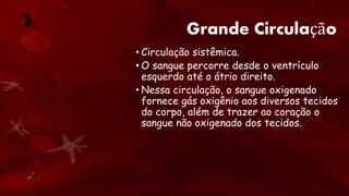 Grande Circulação
• Circulação sistêmica.
• O sangue percorre desde o ventrículo
esquerdo até o átrio direito.
• Nessa circulação, o sangue oxigenado
fornece gás oxigênio aos diversos tecidos
do corpo, além de trazer ao coração o
sangue não oxigenado dos tecidos.
 