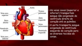 • As veias cavas (superior e
inferior) transportam
sangue não oxigenado do
ventrículo direito do
coração até os pulmões.
• A aorta transporta sangue
oxigenado do ventrículo
esquerdo do coração para
os diversos tecidos do
corpo.
 