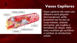 Vasos Capilares
• Vasos capilares são vasos com
diâmetro muito pequeno
(microscópicos), estão
presentes nos tecidos do
corpo humano, cedendo
nutrientes, gás oxigênio e
hormônios às células. Além
disso recolhem gás carbônico
e resíduos do metabolismo
celular.
 