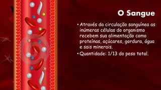 O Sangue
• Através da circulação sanguínea as
inúmeras células do organismo
recebem sua alimentação como
proteínas, açúcares, gordura, água
e sais minerais.
• Quantidade: 1/13 do peso total.
 