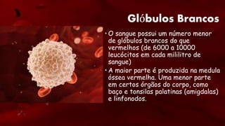 Glóbulos Brancos
• O sangue possui um número menor
de glóbulos brancos do que
vermelhos (de 6000 a 10000
leucócitos em cada mililitro de
sangue)
• A maior parte é produzida na medula
óssea vermelha. Uma menor parte
em certos órgãos do corpo, como
baço e tonsilas palatinas (amigdalas)
e linfonodos.
 