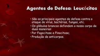 Agentes de Defesa: Leucócitos
• São os principais agentes de defesa contra o
ataque de vírus, bactérias, fungos, etc.
• Os glóbulos brancos defendem o nosso corpo de
duas maneiras:
• Por Fagocitose e Pinocitose;
• Produção de anticorpos.
 