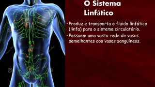 O Sistema
Linfático
• Produz e transporta o fluido linfático
(linfa) para o sistema circulatório.
• Possuem uma vasta rede de vasos
semelhantes aos vasos sanguíneos.
 