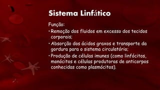 Sistema Linfático
Função:
• Remoção dos fluidos em excesso dos tecidos
corporais;
• Absorção dos ácidos graxos e transporte da
gordura para o sistema circulatório;
• Produção de células imunes (como linfócitos,
monócitos e células produtoras de anticorpos
conhecidas como plasmócitos).
 