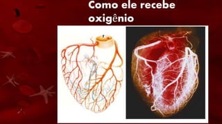 Como ele recebe
oxigênio
• Assim, o coração, tem seus próprios vasos
sanguíneos. São as artérias coronárias. Saem do
inicio da aorta principalmente, logo que ela deixa
o coração. Elas logo se ramificam, formando uma
rede de pequenas artérias que se espalham pela
superfície do coração.
• As artérias coronárias entram no músculo
cardíaco e ramificam-se ainda mais em capilares
que levam oxigênio e alimento a cada fibra
muscular. Os capilares juntam-se para formar as
veias coronárias.
 