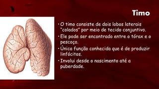 Timo
• O timo consiste de dois lobos laterais
“colados” por meio de tecido conjuntivo.
• Ele pode ser encontrado entre o tórax e o
pescoço.
• Única função conhecida que é de produzir
linfócitos.
• Involui desde o nascimento até a
puberdade.
 