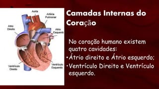 Camadas Internas do
Coração
No coração humano existem
quatro cavidades:
•Átrio direito e Átrio esquerdo;
•Ventrículo Direito e Ventrículo
esquerdo.
 