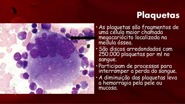 Em que dia lunar é o melhor de todos para começar a tornar-se fino