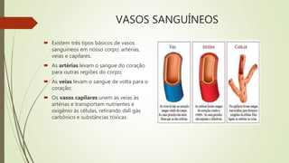 VASOS SANGUÍNEOS
 Existem três tipos básicos de vasos
sanguíneos em nosso corpo: artérias,
veias e capilares.
 As artérias levam o sangue do coração
para outras regiões do corpo;
 As veias levam o sangue de volta para o
coração;
 Os vasos capilares unem as veias às
artérias e transportam nutrientes e
oxigênio às células, retirando dali gás
carbônico e substâncias tóxicas.
 
