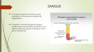 SANGUE
 O sangue transporta nutrientes, gases
respiratórios, hormônios e resíduos do
metabolismo.
 O plasma é a porção líquida do sangue,
contém água (mais de 90%), proteínas e sais
minerais diversos, glicose e vitaminas, entre
outras substâncias.
 