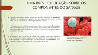 UMA BREVE EXPLICAÇÃO SOBRE OS
COMPONENTES DO SANGUE
 Glóbulos vermelhos: células sanguíneas também chamadas de hemácias,
são bem vermelhas, sendo graças a elas que o sangue apresenta a cor que
tem. São os responsáveis pela oxigenação das células.
 - Glóbulos brancos: células sanguíneas,também chamados de leucócitos.
Eles representam um conjunto de células responsáveis pela proteção do
organismo à entrada de agentes estranhos, como micro-organismos que
provocam doenças.
 - Plaquetas: são fragmentos de células que também podem ser chamados
de trombócitos. Graças às plaquetas, quando temos um machucado leve,
rapidamente o sangramento para, o que chamamos de coagulação. Elas
também ajudam no processo de cicatrização das feridas.
Microscopia eletrônica mostrando as
hemácias (em vermelho) e um
glóbulo branco (em branco).
 
