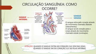CIRCULAÇÃO SANGUÍNEA: COMO
OCORRE?
SANGUE
ARTERIAL
SANGUE
VENOSO
ATENÇÃO: QUANDO O SANGUE ENTRA NO CORAÇÃO, ELE VEM DAS VEIAS;
QUANDO O SANGUE SAI DO CORAÇÃO, ELE SAI PELAS ARTÉRIAS
O sangue entra pelo coração através
do movimento chamado diástole
(relaxamento);
O sangue sai do coração para o
corpo através do movimento
chamado sístole (contração).
 