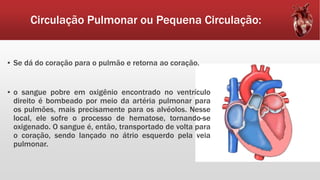 Circulação Pulmonar ou Pequena Circulação:
▪ Se dá do coração para o pulmão e retorna ao coração.
▪ o sangue pobre em oxigênio encontrado no ventrículo
direito é bombeado por meio da artéria pulmonar para
os pulmões, mais precisamente para os alvéolos. Nesse
local, ele sofre o processo de hematose, tornando-se
oxigenado. O sangue é, então, transportado de volta para
o coração, sendo lançado no átrio esquerdo pela veia
pulmonar.
 