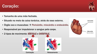 Coração:
▪ Tamanho de uma mão fechada.
▪ Situado no meio da caixa torácica, atrás do osso esterno.
▪ Órgão oco e musculoso  Pericárdio, miocárdio e endocárdio.
▪ Responsável por impulsionar o sangue pelo corpo.
▪ 2 tipos de movimento: SÍSTOLE e DIÁSTOLE.
Contração Relaxamento
 