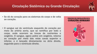 Circulação Sistêmica ou Grande Circulação:
▪ Se dá do coração para os sistemas do corpo e de volta
ao coração.
▪ O sangue sai do ventrículo esquerdo do coração por
meio da artéria aorta, que se ramifica por todo o
corpo, onde ocorrem as trocas de nutrientes e
oxigênio. O sangue, agora pobre em oxigênio, retorna
ao coração por meio das veias cavas superior e
inferior, e é lançado diretamente no átrio direito,
seguindo para o ventrículo direito.
 
