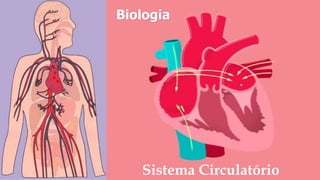 Sistema Circulatório
Biologia
 