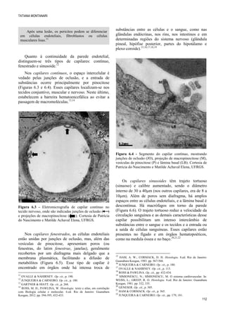 TATIANA MONTANARI
112
Após uma lesão, os pericitos podem se diferenciar
em células endoteliais, fibroblastos ou células
musculares lisas.11
Quanto à continuidade da parede endotelial,
distinguem-se três tipos de capilares: contínuo,
fenestrado e sinusoide.12
Nos capilares contínuos, o espaço intercelular é
vedado pelas junções de oclusão, e a entrada de
substâncias ocorre principalmente por pinocitose
(Figuras 6.3 e 6.4). Esses capilares localizam-se nos
tecidos conjuntivo, muscular e nervoso. Neste último,
estabelecem a barreira hematoencefálica ao evitar a
passagem de macromoléculas.13,14
Figura 6.3 - Eletromicrografia de capilar contínuo no
tecido nervoso, onde são indicadas junções de oclusão ( )
e projeções de macropinocitose ( ). Cortesia de Patrícia
do Nascimento e Matilde Achaval Elena, UFRGS.
Nos capilares fenestrados, as células endoteliais
estão unidas por junções de oclusão, mas, além das
vesículas de pinocitose, apresentam poros (ou
fenestras, do latim fenestrae, janelas), geralmente
recobertos por um diafragma mais delgado que a
membrana plasmática, facilitando a difusão de
metabólitos (Figura 6.5). Esse tipo de capilar é
encontrado em órgãos onde há intensa troca de
11
OVALLE & NAHIRNEY. Op. cit., p. 190.
12
JUNQUEIRA & CARNEIRO. Op. cit., p. 180.
13
GARTNER & HIATT. Op. cit., p. 268.
14
ROSS, M. H.; PAWLINA, W. Histologia: texto e atlas, em correlação
com Biologia celular e molecular. 6.ed. Rio de Janeiro: Guanabara
Koogan, 2012. pp. 394-395, 432-433.
substâncias entre as células e o sangue, como nas
glândulas endócrinas, nos rins, nos intestinos e em
determinadas regiões do sistema nervoso (glândula
pineal, hipófise posterior, partes do hipotálamo e
plexo coroide).15,16,17,18,19
Figura 6.4 - Segmento do capilar contínuo, mostrando
junções de oclusão (JO), projeção de macropinocitose (M),
vesículas de pinocitose (P) e lâmina basal (LB). Cortesia de
Patrícia do Nascimento e Matilde Achaval Elena, UFRGS.
Os capilares sinusoides têm trajeto tortuoso
(sinuoso) e calibre aumentado, sendo o diâmetro
interno de 30 a 40m (nos outros capilares, era de 8 a
10m). Além de poros sem diafragma, há amplos
espaços entre as células endoteliais, e a lâmina basal é
descontínua. Há macrófagos em torno da parede
(Figura 6.6). O trajeto tortuoso reduz a velocidade da
circulação sanguínea e as demais características desse
capilar possibilitam um intenso intercâmbio de
substâncias entre o sangue e os tecidos e a entrada ou
a saída de células sanguíneas. Esses capilares estão
presentes no fígado e em órgãos hematopoéticos,
como na medula óssea e no baço.20,21,22
15
HAM, A. W.; CORMACK, D. H. Histologia. 8.ed. Rio de Janeiro:
Guanabara Koogan, 1983. pp. 567-568.
16
JUNQUEIRA & CARNEIRO. Op. cit., p. 180.
17
OVALLE & NAHIRNEY. Op. cit., p. 115.
18
ROSS & PAWLINA. Op. cit., pp. 432-434.
19
SIMIONESCU, N.; SIMIONESCU, M. O sistema cardiovascular. In:
WEISS, L.; GREEP, R. O. Histologia. 4.ed. Rio de Janeiro: Guanabara
Koogan, 1981. pp. 332, 335.
20
GENESER. Op. cit., p. 305.
21
HAM & CORMACK. Op. cit., p. 565.
22
JUNQUEIRA & CARNEIRO. Op. cit., pp. 179, 181.
P
 